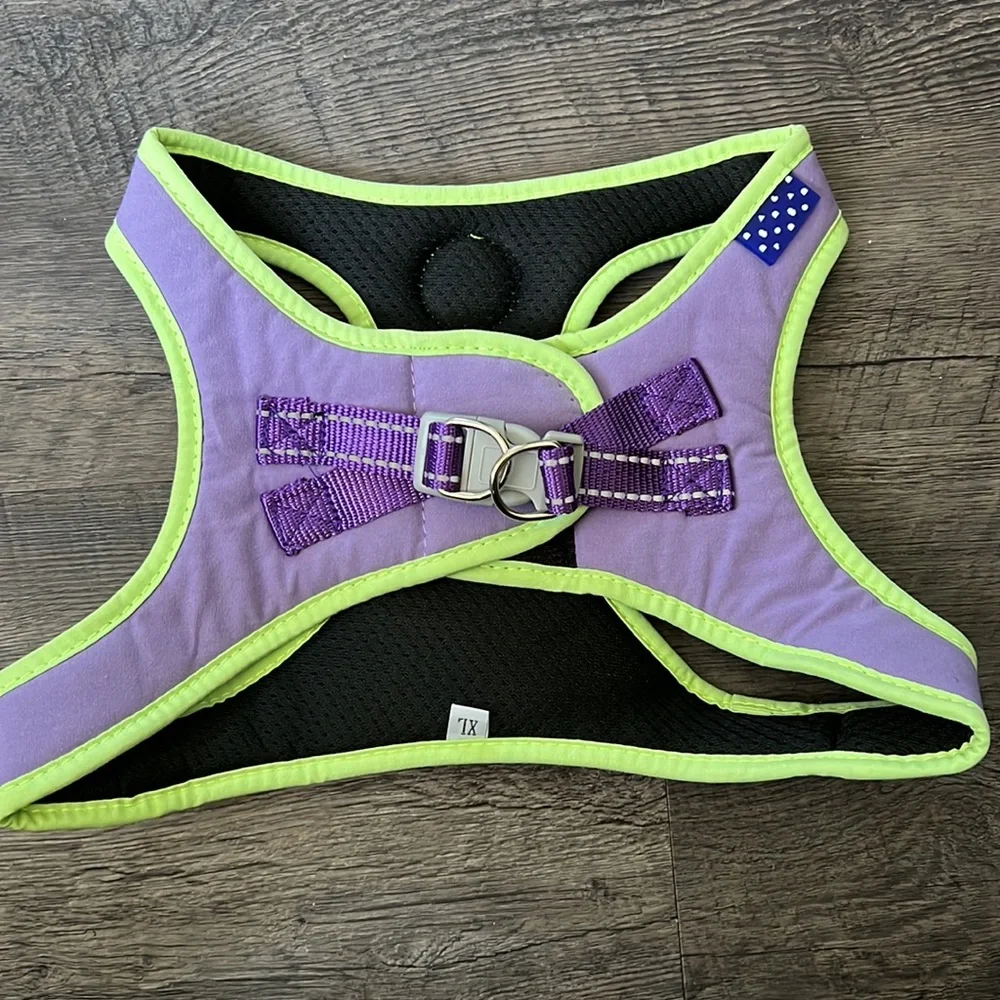 Dogs harness with leash